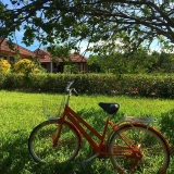 Itinéraire de vélo à Hué une journée : Visite du village de Thuy Bieu