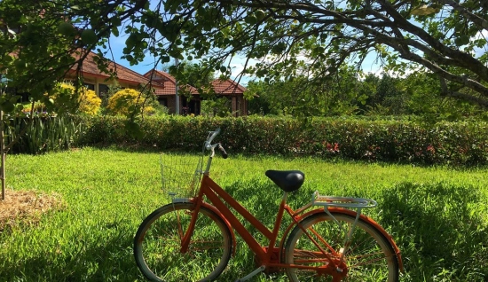 Itinéraire de vélo à Hué une journée : Visite du village de Thuy Bieu