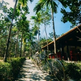 Itinéraire de vélo à Hué une journée : Visite du village de Thuy Bieu