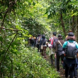 Excursion à Hue : Trekking dans le parc national de Bach Ma