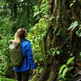 Excursion à Hue : Trekking dans le parc national de Bach Ma