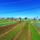 Excursion à Hoi An: Balade à vélo dans la campagne de Hoi An