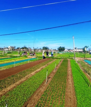 Excursion à Hoi An: Balade à vélo dans la campagne de Hoi An