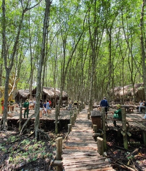 Excursion à Can Gio: Découverte mangrove Can Gio