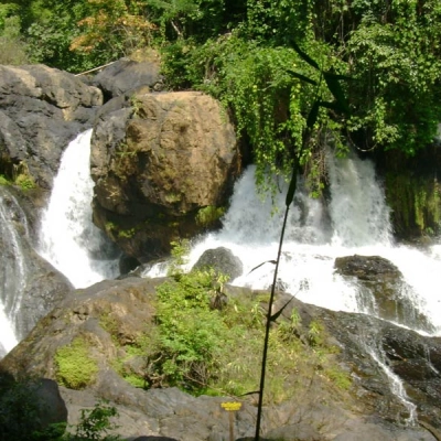 Parc national de Tham Pla - Pha Suea