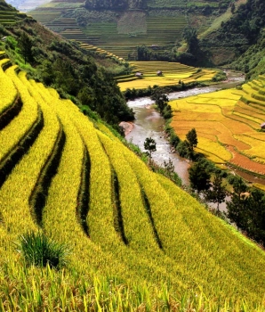 Excursion à Sapa: exploration de la vallée de Muong Hoa