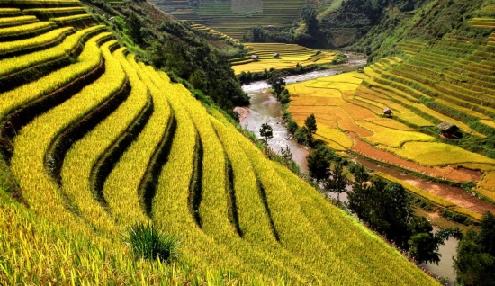 Visite la vallée de Muong Hoa : exploration Sa Pa 1 jour