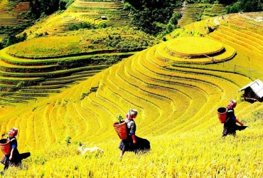 Trekking à Lao Chai et Ta Van