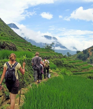 Excursion à Sapa: Trekking à Lao Chai et Ta Van