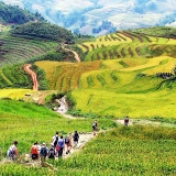 Excursion à Sapa: Trekking à Lao Chai et Ta Van