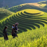 Excursion à Sapa: Trekking à Lao Chai et Ta Van