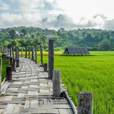 Pont de bambou de Boon Kho Ku So