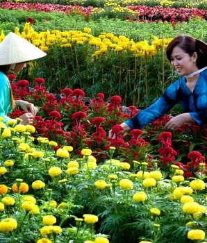 Excursion au delta du Mékong : Exploration culturelle au Sud du Vietnam