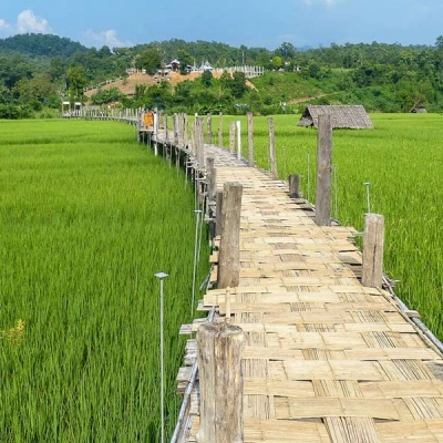 Pont de Su Tong Pea