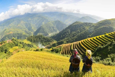 Sapa - Vallée de Muong Hoa - Hanoi