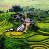 Trekking à Sapa 1 jour : Randonnée dans le village de l'ethnie Dao rouge