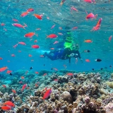 Séjour balnéaire à Phu Quoc: Plongée en apnée et expérience de pêche à Phu Quoc