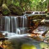 Excursion à Phu Quoc d'une journée: Randonnée dans le parc national de Phu Quoc