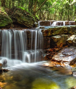 Excursion à Phu Quoc d'une journée: Randonnée dans le parc national de Phu Quoc