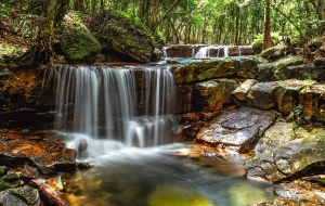 Randonnée dans le parc national de Phu Quoc