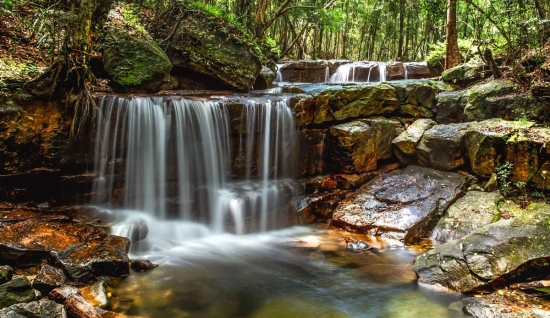 Excursion à Phu Quoc d'une journée: Randonnée dans le parc national de Phu Quoc