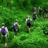 Excursion à Phu Quoc d'une journée: Randonnée dans le parc national de Phu Quoc