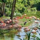 Excursion à Phu Quoc d'une journée: Randonnée dans le parc national de Phu Quoc