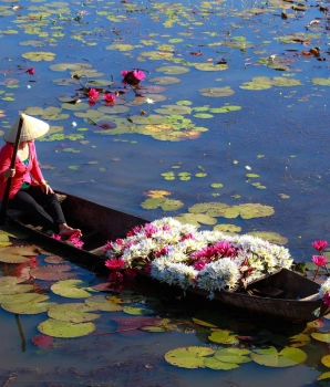 Visite au sud du Vietnam d'une journée : Exploration du Delta du Mékong