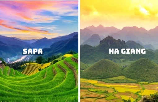 Ha Giang ou Sapa? - Un voyage pittoresque à explorer