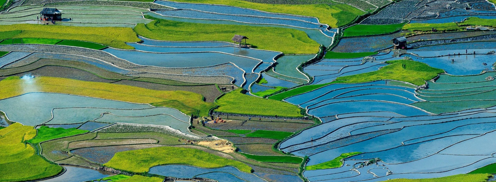 Comment voyager au Nord du Vietnam en juin ?