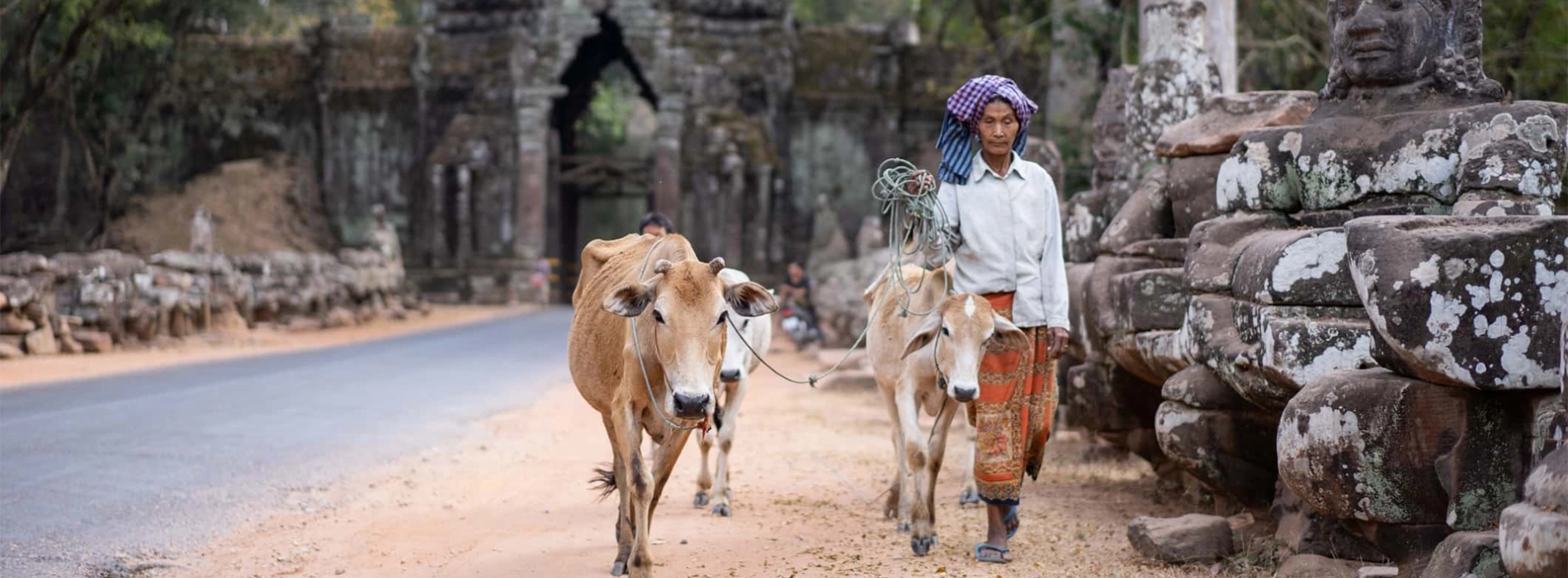 Guide de voyage sur l’argent cambodgien: monnaie et paiement