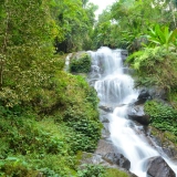 Trekking en 1 jour à Chiang Rai : Exploration nature et aventure dans la Jungle