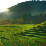 Excursion à Chiang Mai d'une journée : Découverte Pha Dok Sieo