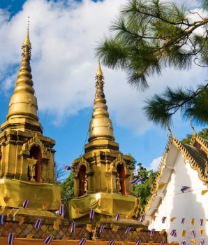 Wat Phra That Doi Tung et la villa royale Doi Tung tour 1 jour