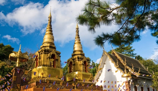 Petite randonnée à Chiang Rai une journée : Explorez Doi Tung, Temples et Traditions Uniques