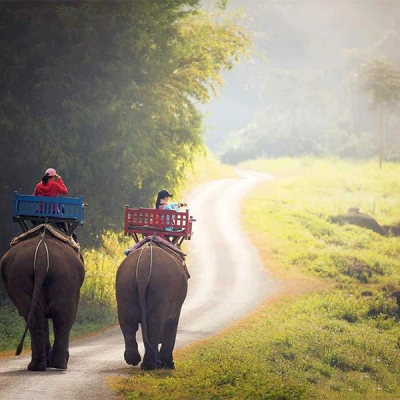 Village des éléphants Luang Prabang