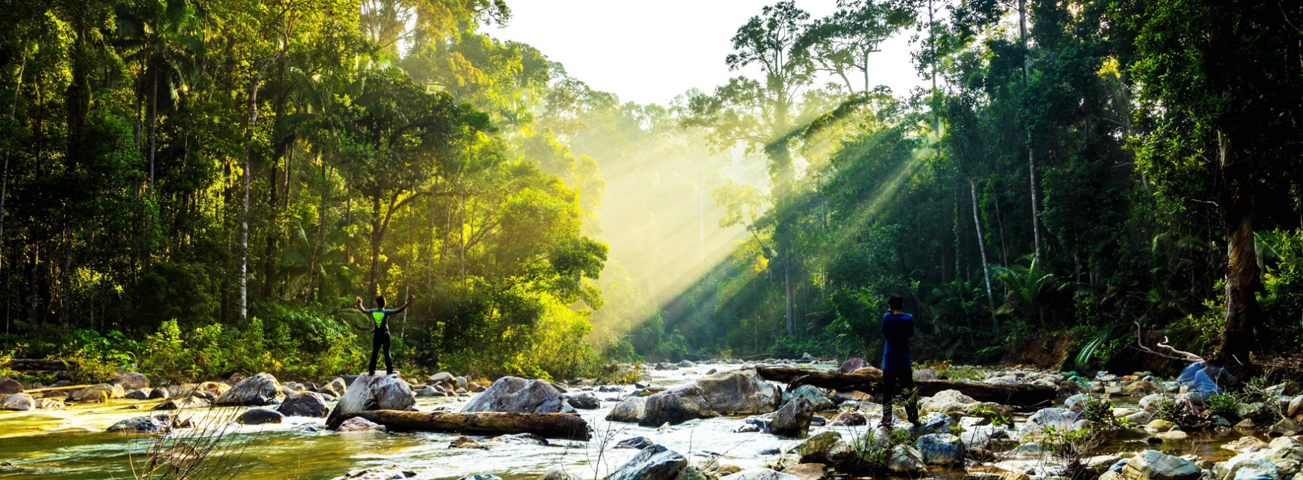 Kuala Tahan