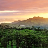 Mini circuit à Uttaradit : Parc national de Phu Soi Dao et cascade de Mae Phun