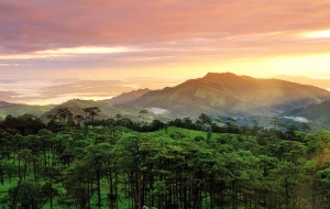 Mini circuit à Uttaradit : Parc national de Phu Soi Dao et cascade de Mae Phun