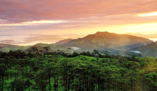 Mini circuit à Uttaradit : Parc national de Phu Soi Dao et cascade de Mae Phun