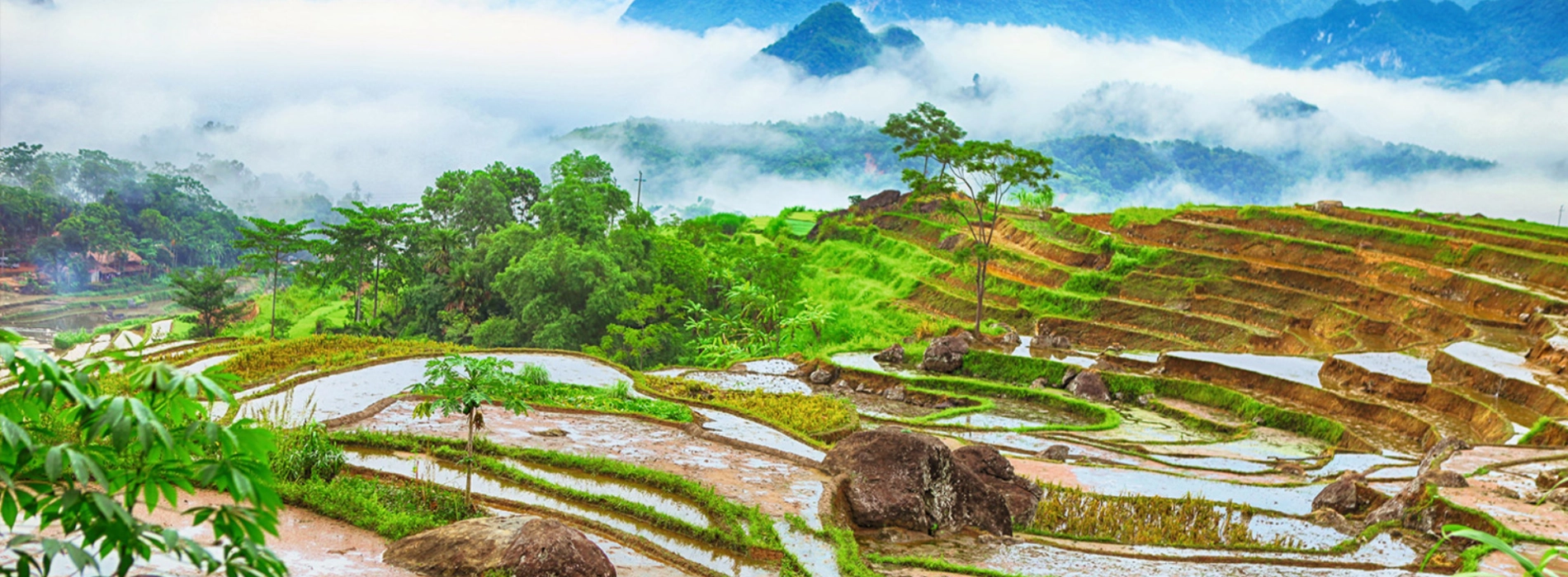 Top 5 des belles rizières en terrasse au Vietnam à ne pas manquer