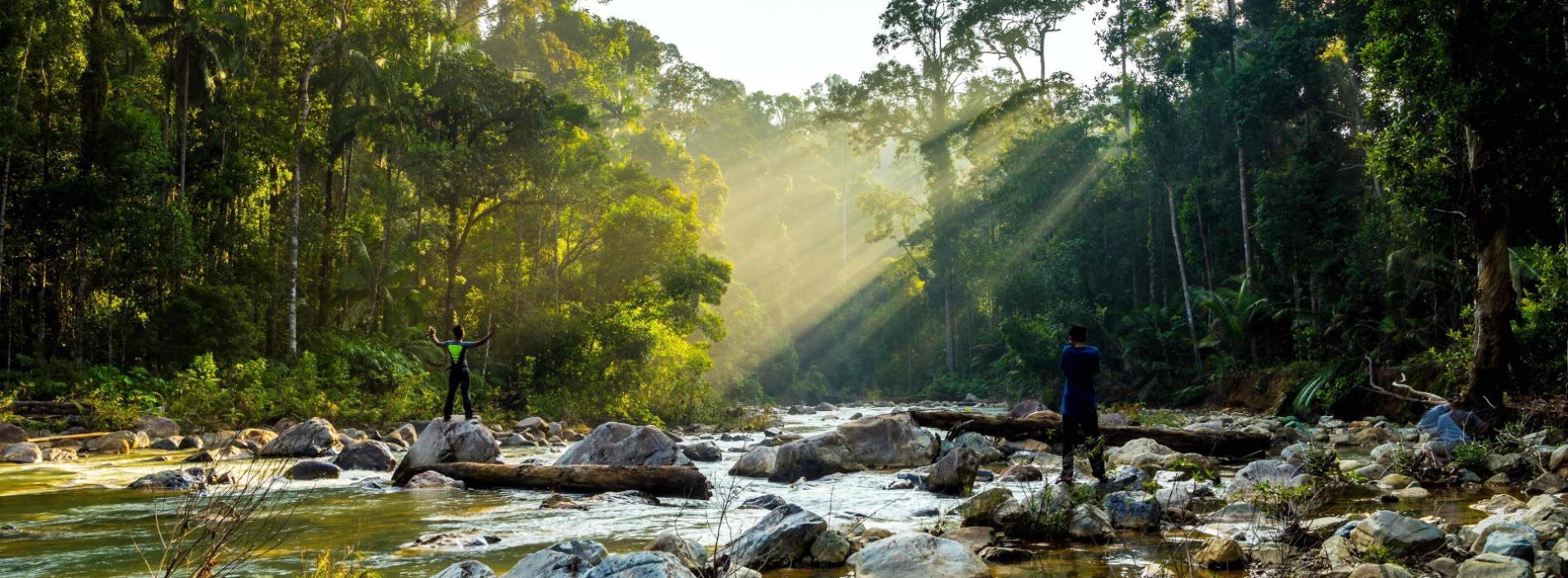 Taman Negara