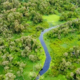 Court séjour au Delta du Mékong: Excursion écologique au Delta du Mékong de 3 jours