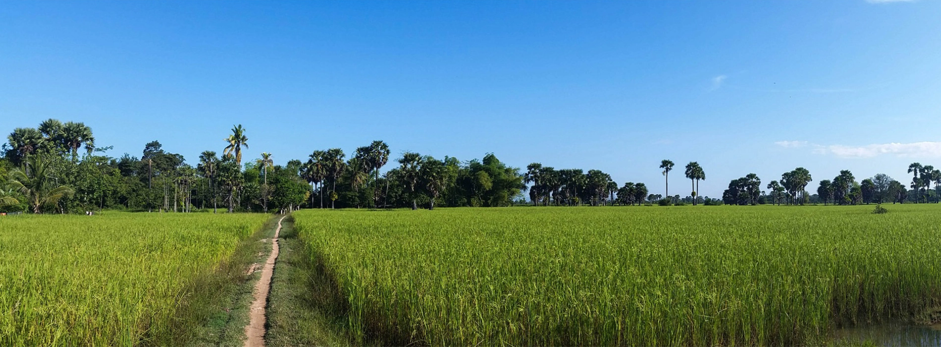 Voyage au Cambodge en juillet, ça vaut le voup ?