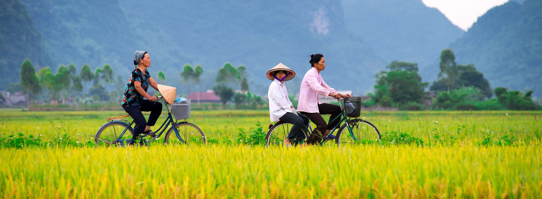 Pourquoi opter pour un guide de chauffeur lors de votre voyage au Vietnam