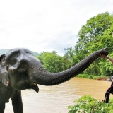 Excursion à Lampang et Chiang Rai 2 jours 1 nuit