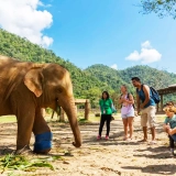 Petit circuit à Chiang Mai : 1 jour pour découvrir Doi Inthanon et les éléphants