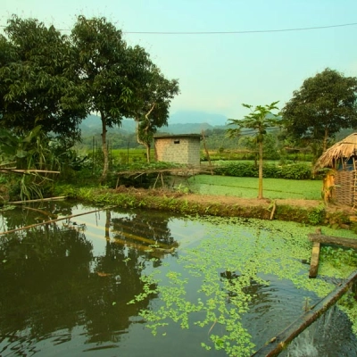 Village de Ha Thanh