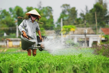 Hoian – Ecotour, de l’agriculture à la pêche (B, L)