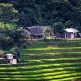 Séjour 2 semaines au Nord du Vietnam : Exploration la culture et la nature